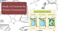 Study Of Osmosis By Potato Osmometer Diagram Experiment